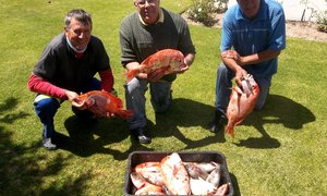 Kry jou amperbootjie 